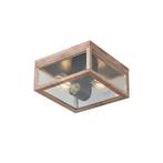 Industriële plafondlamp hout print IP44 2-lichts - Charlois, Tuin en Terras, Nieuw, Minder dan 50 watt
