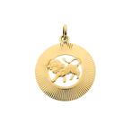 Gouden sterrenbeeld hanger; Leeuw | Fabiola (kettinghanger), Ophalen of Verzenden, Gebruikt, Goud, Overige merken