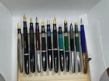 Vulpen beschikbaar voor biedingen