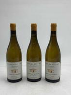 2023 Pascal Robin Fourchaume - Chablis 1er Cru - 3 Flessen, Nieuw