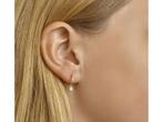 Marie Celeste oorringen met hangers zirkonia - 11 mm - Goud, Verzenden, Nieuw
