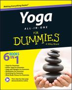 9781119022725 Yoga All In One For Dummies | Tweedehands, Boeken, Verzenden, Zo goed als nieuw, Larry Payne