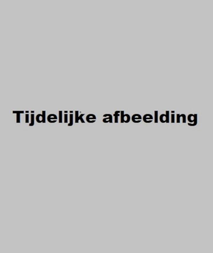 Ridder Big / Gottmer-prentenboek 9789025734367, Boeken, Prentenboeken en Plaatjesalbums, Gelezen, Verzenden
