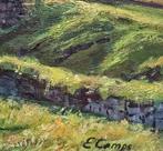Enric Camps (1951) - Colina de siglos, Castellfollit de la