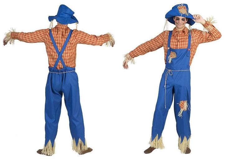 Vogelverschrikker kleding heren, Kleding | Heren, Carnavalskleding en Feestkleding, Nieuw, Ophalen of Verzenden