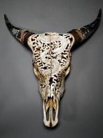 Indonesische waterbuffaloskull - met de hand gesneden en, Verzamelen, Nieuw