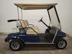 ClubCar Ds 2 seater T-50-BVD, Gebruikt