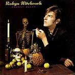 LP gebruikt - Robyn Hitchcock - Groovy Decay, Verzenden, Zo goed als nieuw