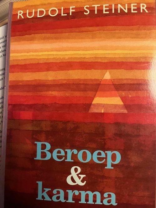 Beroep en karma 9789060382974 Rudolf Steiner, Boeken, Filosofie, Gelezen, Verzenden