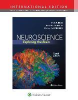 Neuroscience Exploring the Brain 9781451109542, Boeken, Studieboeken en Cursussen, Zo goed als nieuw, Verzenden