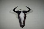 Large and heavy Blue Wildebeest Schedel - Connochaetes, Antiek en Kunst