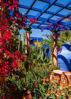 Dominik Valvo - Jardin Majorelle #6  (Marrakech 2024), Antiek en Kunst