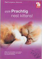Een prachtig nest kittens! / Over Dieren / 0028 P. Overgaauw, Verzenden, Gelezen, P. Overgaauw