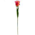 Tulp Parkiettulp Orange / stuks. 56cm. Tulpen, Ophalen of Verzenden, Nieuw