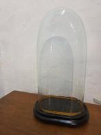 Globe - stolp - antiek - 1901-1920 - Antieke ovale stolp op