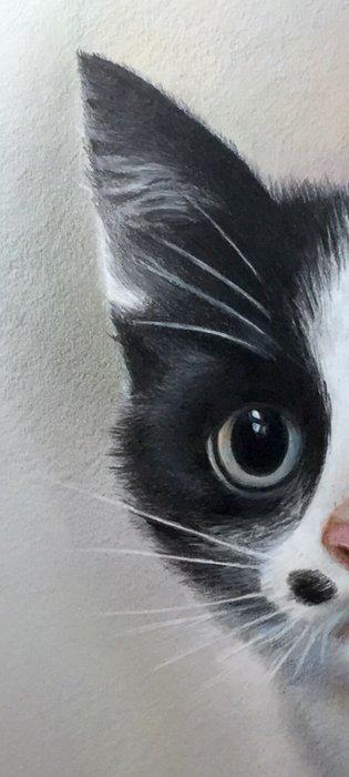 Yevhen Karpenko - Cat beschikbaar voor biedingen