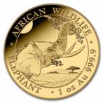 Gouden Somalische Olifant 1 oz 2023, Goud, Losse munt, Overige landen, Verzenden