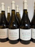 2023 Bernard Moreau, - Bourgogne Chardonnay - 12 Flessen, Verzamelen, Nieuw