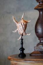 Decoratief ornament (2) - NO RESERVE PRICE - Stunning Pair