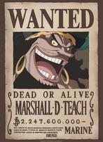 Poster One Piece Wanted Blackbeard 38x52cm, Verzamelen, Verzenden, Nieuw, A1 t/m A3