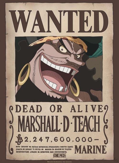 Poster One Piece Wanted Blackbeard 38x52cm, Verzamelen, Posters, Nieuw, A1 t/m A3, Verzenden