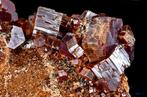 Prachtige amarant-rode Vanadinite in grote kristallen -