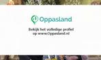 Vincent zoekt een oppas in Zwolle voor 1 kind op donderdag., Vacatures, Vacatures | Schoonmaak en Facilitaire diensten