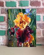 Alexander Nakonechny (1971) - Orange-burgundy iris