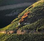 2005 Fritz Haag, Brauneberger Juffer Sonnenuhr - Moezel, Nieuw