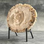 Prachtig stukje versteend hout op een op maat gemaakte, Antiek en Kunst