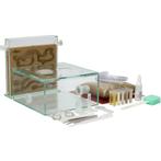 ANTCUBE startset L - 20×20 - kurk