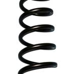 Skyjacker Coil Spring Set 1994-2001 Dodge Ram 1500 4 Wheel, Ophalen of Verzenden, Nieuw