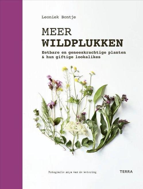 9789401496803 Meer wildplukken | Tweedehands, Boeken, Studieboeken en Cursussen, Zo goed als nieuw, Verzenden