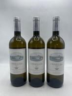 2020 Tenuta dellOrnellaia, Ornellaia Bianco - Toscane - 3, Verzamelen, Wijnen, Nieuw