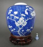 Vaas - Porselein - China - Qing Dynastie (1644-1911) - Plum