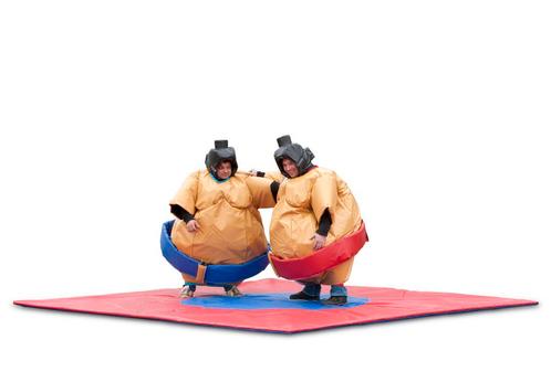 Te Huur: Sport en Spel Activiteiten Curling Sumo Voetbaldart, Hobby en Vrije tijd, Feestartikelen | Verhuur, Overige, Nieuw