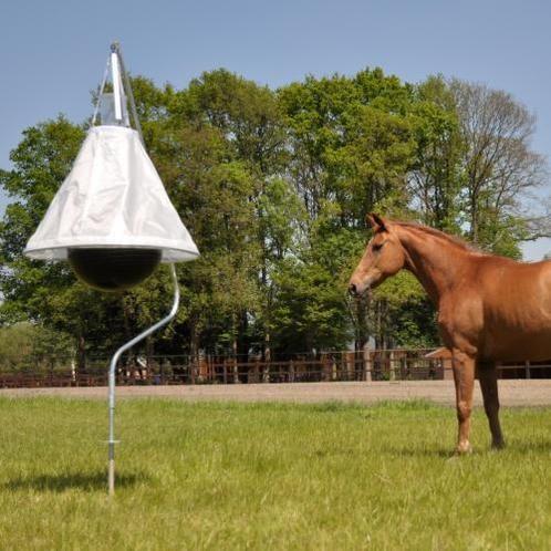 Dazenval, complete set, Dieren en Toebehoren, Paarden en Pony's | Overige Paardenspullen, Nieuw, Ophalen of Verzenden