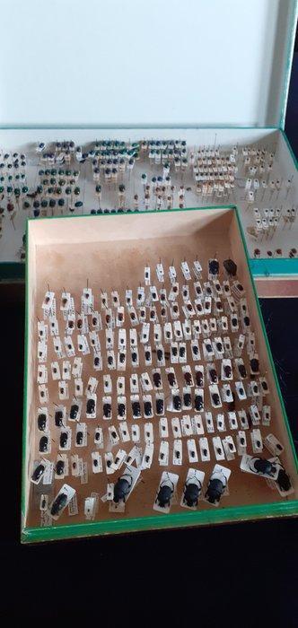 Jachttrofee, Antiek en Kunst, Curiosa en Brocante