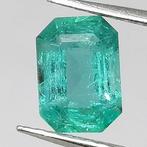 Zonder Minimumprijs Smaragd - 0.89 ct - Instituto Gemólogico, Nieuw