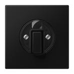 Jung LS range Bedieningselement/Centrale Plaat, Doe-het-zelf en Verbouw, Elektra en Kabels, Verzenden, Nieuw, Overige typen