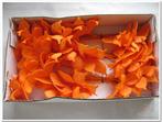 Vlinders van foam Oranje 6 cm. Doos 36 stuks Vlinders voor, Nieuw, Ophalen of Verzenden