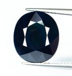 Zonder minimumprijs Saffier - 11.14 ct - Lotus Gemology -, Sieraden, Tassen en Uiterlijk, Nieuw
