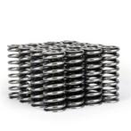 Skunk2 Alpha Series Honda D Series VTEC Valve Spring Set -, Auto-onderdelen, Ophalen of Verzenden, Nieuw