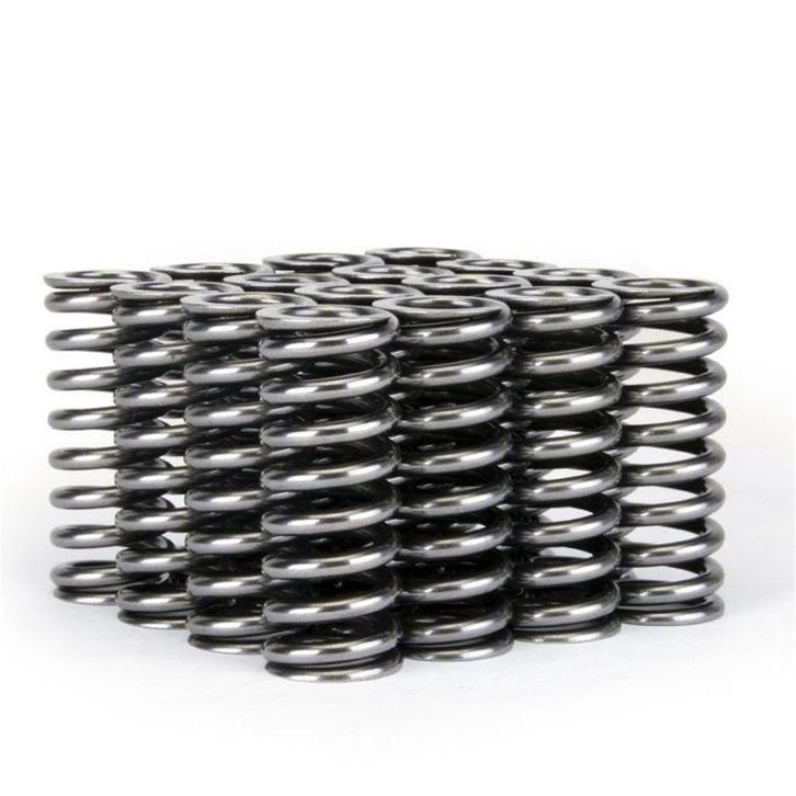 Skunk2 Alpha Series Honda D Series VTEC Valve Spring Set -, Auto-onderdelen, Motor en Toebehoren, Ophalen of Verzenden