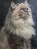 Davor Ivkovi (1965) - Cat