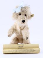 Steiff - Pop 420085 Witte poedel 1996 - 1990-2000 -