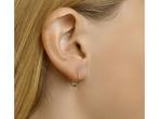 Sparkle14 oorringen bolletjes - 11.5 mm - Goud, Verzenden, Nieuw