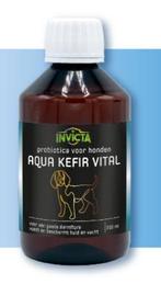 Invicta Aqua Kefir Vital Hond 250 ml 250 ml, Ophalen of Verzenden