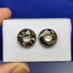 Pallasiet + ijzeren meteoriet. Oorbellen De beste kwaliteit!
