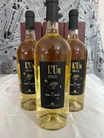 2022 Lungarotti “L’UM” - Umbrië IGT - 3 Magnums (1.5L), Nieuw